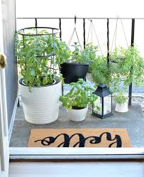 Container Herb Garden Hanging Planter