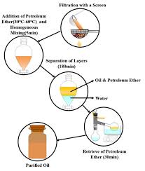 Biodiesel Ion