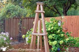 Cucumber Trellis Ideas 13 Of The Best