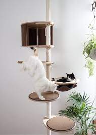 Tok Tok Floor To Ceiling Cat Tree