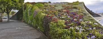 Green Roofs And Rooftop Gardens