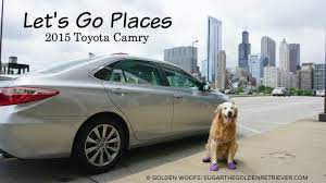 Is Toyota Camry A Suitable Car To Take
