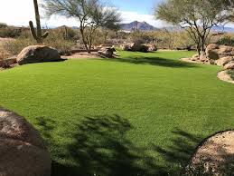 Phoenix At Arizona Artificial Lawns