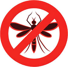 Mosquito Control Neighbours Lawn Care