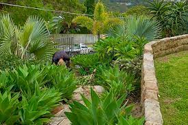 Eastern Suburbs Gardening Lower