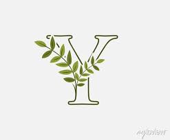 Green Letter Y Leaf Icon Logo Design