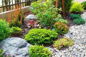Rock Vs Wood Mulch For Flower Beds