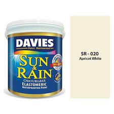 Davies Sun Rain Elastomeric Paint Sr