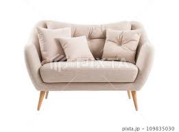 Small Chic Scandinavian Style Sofa In