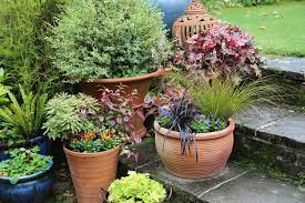 Garden World Planting Pots For Autumn