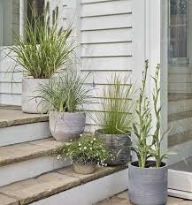 Seaside Look In Your Garden