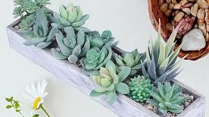 Best Artificial Plants For Home Decor