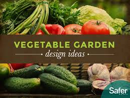 Design The Perfect Vegetable Garden