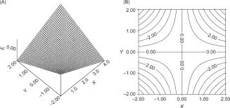 Euler Lagrange Equation An Overview