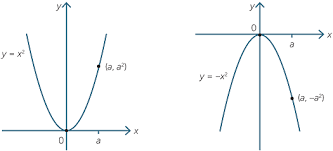 Quadratic Function