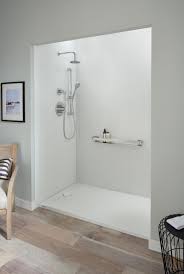 Replace Your Tub With A Walk In Shower