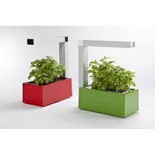 Potager Interieur Herbie