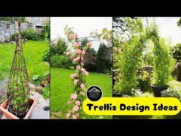 50 Garden Trellis Ideas For Your