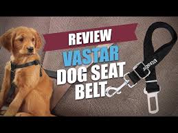 Vastar Dog Seat Belt Review