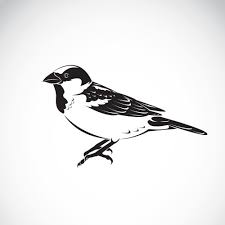 White Background Bird Icon Vector Image