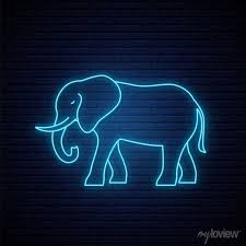 Neon Elephant Sign Outline Elephant