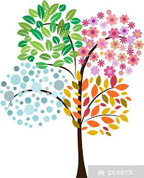 Wall Mural Colorful Tree Of Four