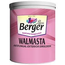 Berger Emulsion Paint Packaging Type