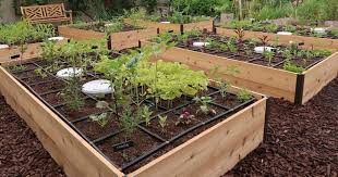 Gardener S Supply Cedar Raised Beds