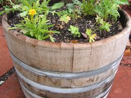 Half Wine Barrel Planter