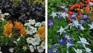 Color Schemes For Flower Gardens