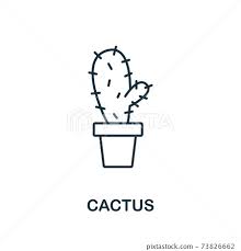 Cactus Icon From Garden Collection