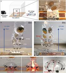 microrobot powered by onboard energy