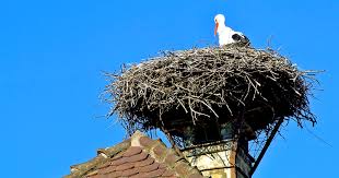 How Often Should You Clean Your Chimney