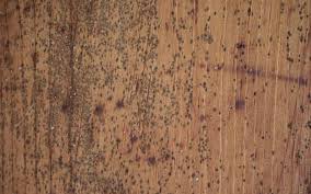 Mould On Your Wood Furniture Here Is A