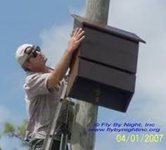 Buybathouse Fly By Night