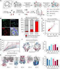 Spatially Resolved Mapping Of Proteome