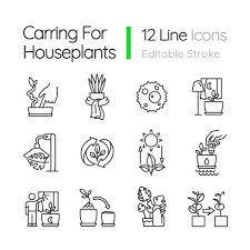 Caring For Houseplants Linear Icons Set