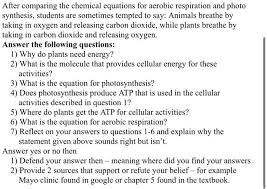 Aerobic Respiration And Photo Synthesis