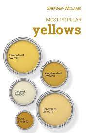 Popular Yellow Paint Colors Collection