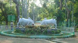 Botanical Garden Pondicherry
