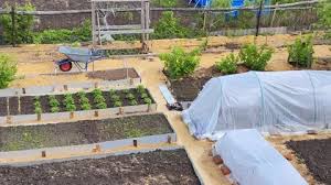 Top View Of A Vegetable Garden With