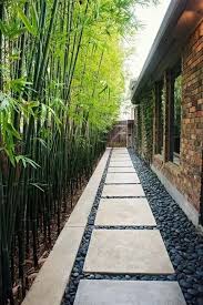 Side Yard Decor Ideas