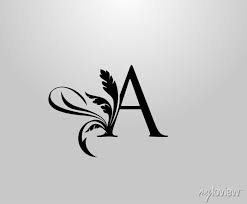Classic Elegant Letter A Fl Logo