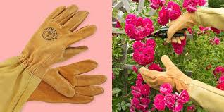 14 Best Gardening Gloves Great Long