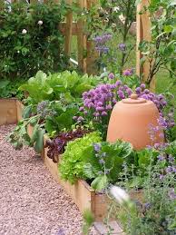 Raised Bed Gardening