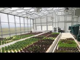 Commercial Greenhouse Planning Webinar