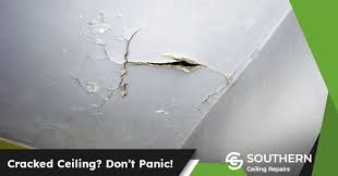 In Ceiling Don T Panic S