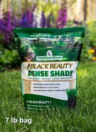 Black Beauty Dense Shade Grass Seed L