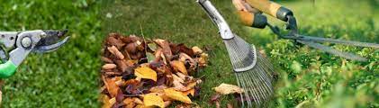 Lawn And Garden Maintenance At Best