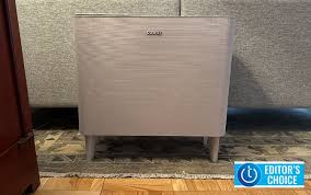 Coway Airmega Icon An Attractive Easy